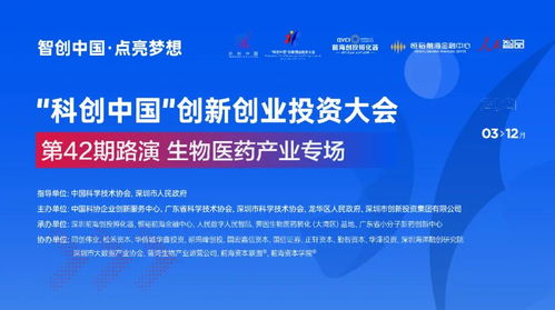 觀后感,實踐,理論,創(chuàng)新