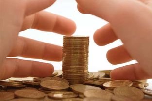 輕而易舉,大學生創(chuàng)業(yè),創(chuàng)新