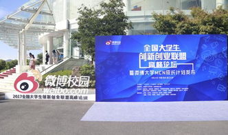 新媒體環(huán)境下大學(xué)生創(chuàng)新創(chuàng)業(yè)2000