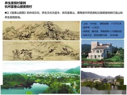 案例分析,創(chuàng)新,創(chuàng)業(yè),酉陽縣