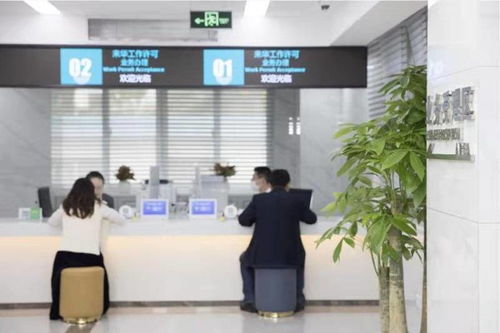 創(chuàng)新創(chuàng)業(yè)人才高技能人才