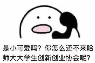 創(chuàng)新創(chuàng)業(yè)協(xié)會外聯(lián)部,創(chuàng)新創(chuàng)業(yè)外聯(lián)部簡介,創(chuàng)新創(chuàng)業(yè)外聯(lián)部面試