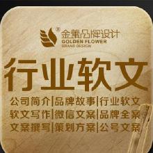 創(chuàng)新創(chuàng)業(yè)策劃書計算機專業(yè)