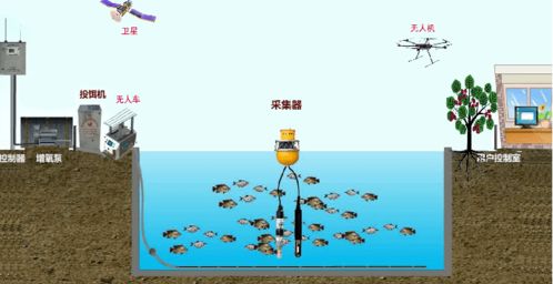 農(nóng)業(yè)創(chuàng)新創(chuàng)業(yè)的瓶頸