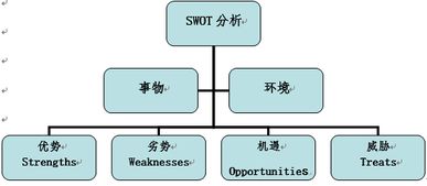 分析報告,創(chuàng)業(yè)項目,創(chuàng)新,swot