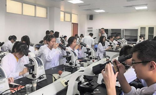 醫(yī)學檢驗創(chuàng)新創(chuàng)業(yè)方向,醫(yī)學檢驗創(chuàng)新創(chuàng)業(yè)方案,醫(yī)學檢驗創(chuàng)新創(chuàng)業(yè)案例