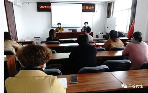 農(nóng)村婦女,項目申報,創(chuàng)新,創(chuàng)業(yè)