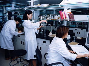 獎勵,機制,創(chuàng)新,創(chuàng)業(yè)