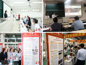 創(chuàng)新創(chuàng)業(yè)實(shí)訓(xùn)總結(jié),創(chuàng)新創(chuàng)業(yè)個(gè)人總結(jié),大學(xué)生創(chuàng)新創(chuàng)業(yè)總結(jié)