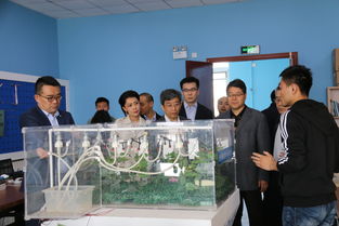 清華大學,電子信息,創(chuàng)新,創(chuàng)業(yè)