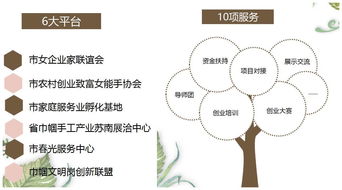 項目實施,階段,創(chuàng)新,創(chuàng)業(yè)