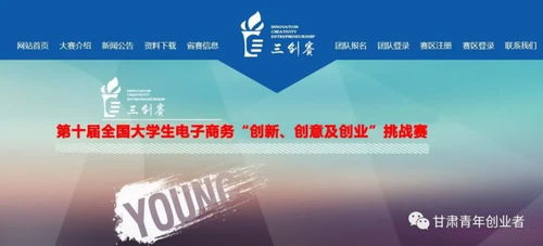 創(chuàng)新,電子商務(wù),創(chuàng)業(yè),大學(xué)