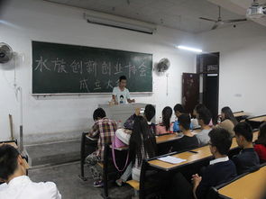 競選,部長,發(fā)言,創(chuàng)新