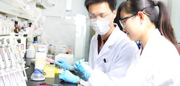 武漢事業(yè)單位人員創(chuàng)新創(chuàng)業(yè)