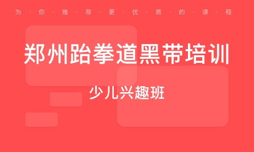 黑帶,計(jì)劃書,跆拳道,創(chuàng)新