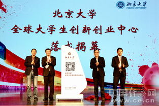 大學(xué)生創(chuàng)新創(chuàng)業(yè)服務(wù)網(wǎng),互聯(lián)網(wǎng)+大學(xué)生創(chuàng)新創(chuàng)業(yè),大學(xué)生創(chuàng)新創(chuàng)業(yè)怎么寫