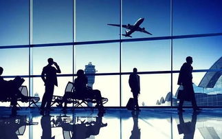 創(chuàng)業(yè)與創(chuàng)新密不可分