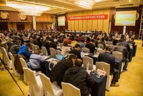 共青團服務青年創(chuàng)新創(chuàng)業(yè)工作持續(xù)發(fā)展,共青團怎樣引導青年,共青團促進青年就業(yè)創(chuàng)業(yè)