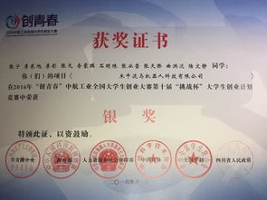 團(tuán)委,工作總結(jié),創(chuàng)新,創(chuàng)業(yè)