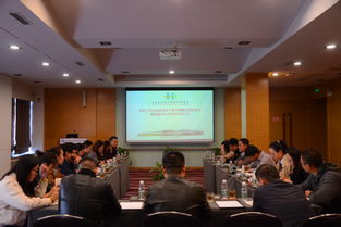 導(dǎo)師,大賽,意見(jiàn),創(chuàng)新