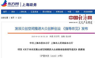 明細(xì)表,投入,創(chuàng)新,創(chuàng)業(yè)