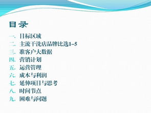 創(chuàng)新創(chuàng)業(yè)計(jì)劃書項(xiàng)目定位干洗店