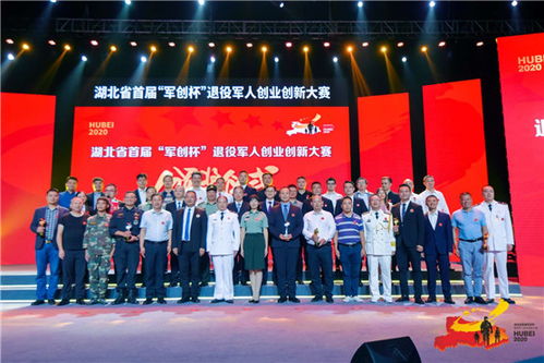 退役,軍人,決賽,大賽