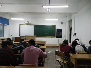 旅游創(chuàng)新創(chuàng)業(yè)個人心得體會