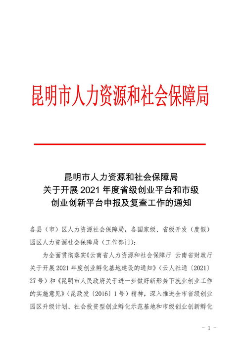 創(chuàng)新,創(chuàng)業(yè),報(bào)告,學(xué)農(nóng)