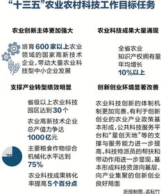 農(nóng)業(yè)創(chuàng)業(yè)創(chuàng)新產(chǎn)業(yè)政策