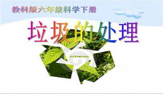 創(chuàng)新創(chuàng)業(yè)校園活動,創(chuàng)新創(chuàng)業(yè)校園項目,適合創(chuàng)新創(chuàng)業(yè)主題的校園活動