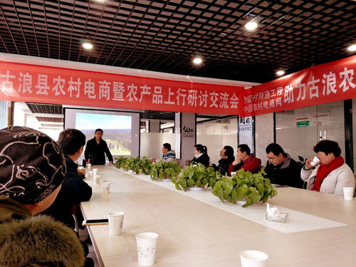 農(nóng)產(chǎn)品創(chuàng)新創(chuàng)業(yè)計劃書,大學生創(chuàng)新創(chuàng)業(yè)農(nóng)產(chǎn)品,農(nóng)產(chǎn)品創(chuàng)新創(chuàng)業(yè)大賽作品