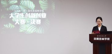 小組,創(chuàng)新,創(chuàng)業(yè)