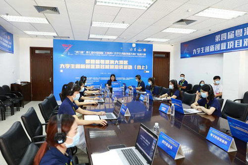 大學(xué)生創(chuàng)新創(chuàng)業(yè)項目環(huán)藝