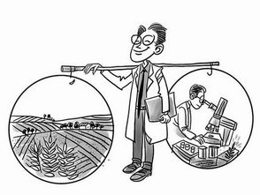 農(nóng)業(yè)領(lǐng)域創(chuàng)新創(chuàng)業(yè)的打算,農(nóng)業(yè)創(chuàng)新創(chuàng)業(yè)案例,目前在農(nóng)業(yè)領(lǐng)域創(chuàng)新創(chuàng)業(yè)的有利因素