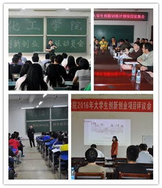 大學(xué)生創(chuàng)新創(chuàng)業(yè)訓(xùn)練計劃項目申報書范文