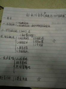 創(chuàng)業(yè)計劃,創(chuàng)新