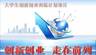 創(chuàng)業(yè)項目,申報,創(chuàng)新,大學(xué)生
