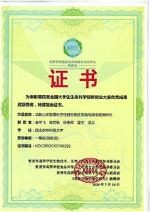 江西省挑戰(zhàn)杯大學(xué)生創(chuàng)新創(chuàng)業(yè)大賽觀后感