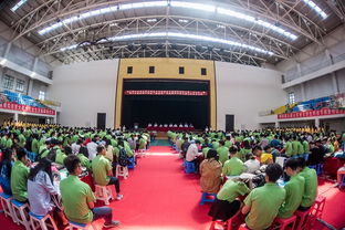 山東省大學(xué)生創(chuàng)新創(chuàng)業(yè)訓(xùn)練計(jì)劃平臺,山東省大學(xué)生創(chuàng)新創(chuàng)業(yè)官網(wǎng),山東省大學(xué)生創(chuàng)新創(chuàng)業(yè)賽事服務(wù)平臺