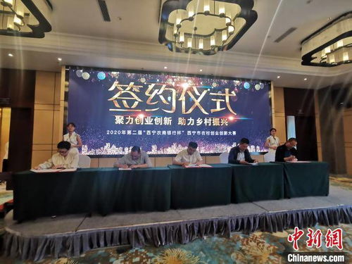 青海省,創(chuàng)新,創(chuàng)業(yè),人才