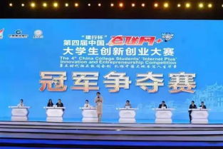 創(chuàng)業(yè)項(xiàng)目,組成員,創(chuàng)新,大學(xué)生