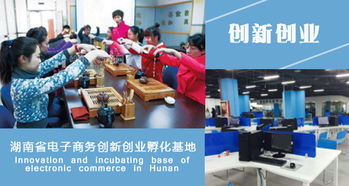 電子商務(wù)創(chuàng)新創(chuàng)業(yè)孵化基地