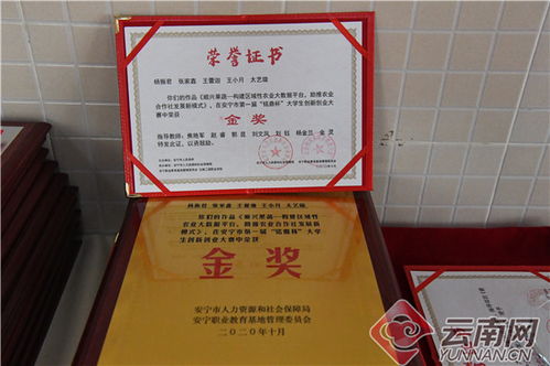 有用嗎,創(chuàng)新,創(chuàng)業(yè),大學(xué)生