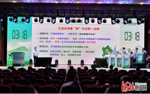 河北省,河北,師大,大賽