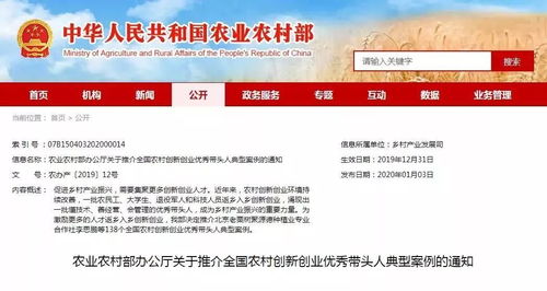 創(chuàng)業(yè)機(jī)會(huì),案例,類(lèi)型,創(chuàng)新