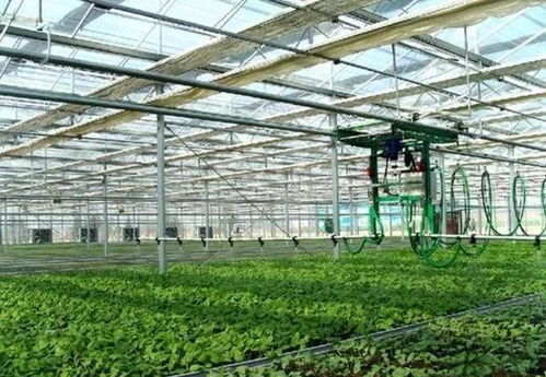 新型經(jīng)營主體創(chuàng)業(yè)創(chuàng)新孵化