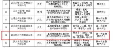 湖北,團(tuán)隊(duì),戰(zhàn)略,創(chuàng)新