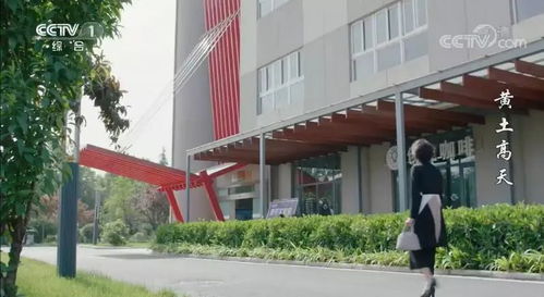 發(fā)展有限公司,創(chuàng)新,創(chuàng)業(yè),楊凌