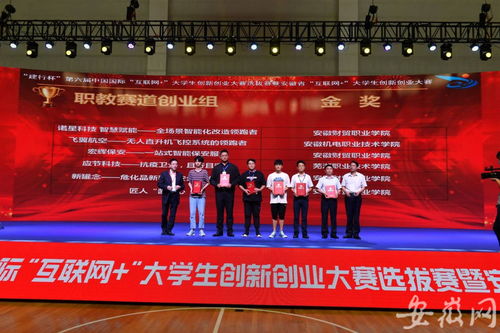 安徽省大學(xué)生創(chuàng)新創(chuàng)業(yè)大賽項目